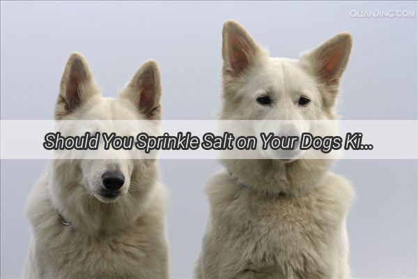 Should You Sprinkle Salt on Your Dogs Kibble Discover the Truth Behind This Controversial Feeding Practice